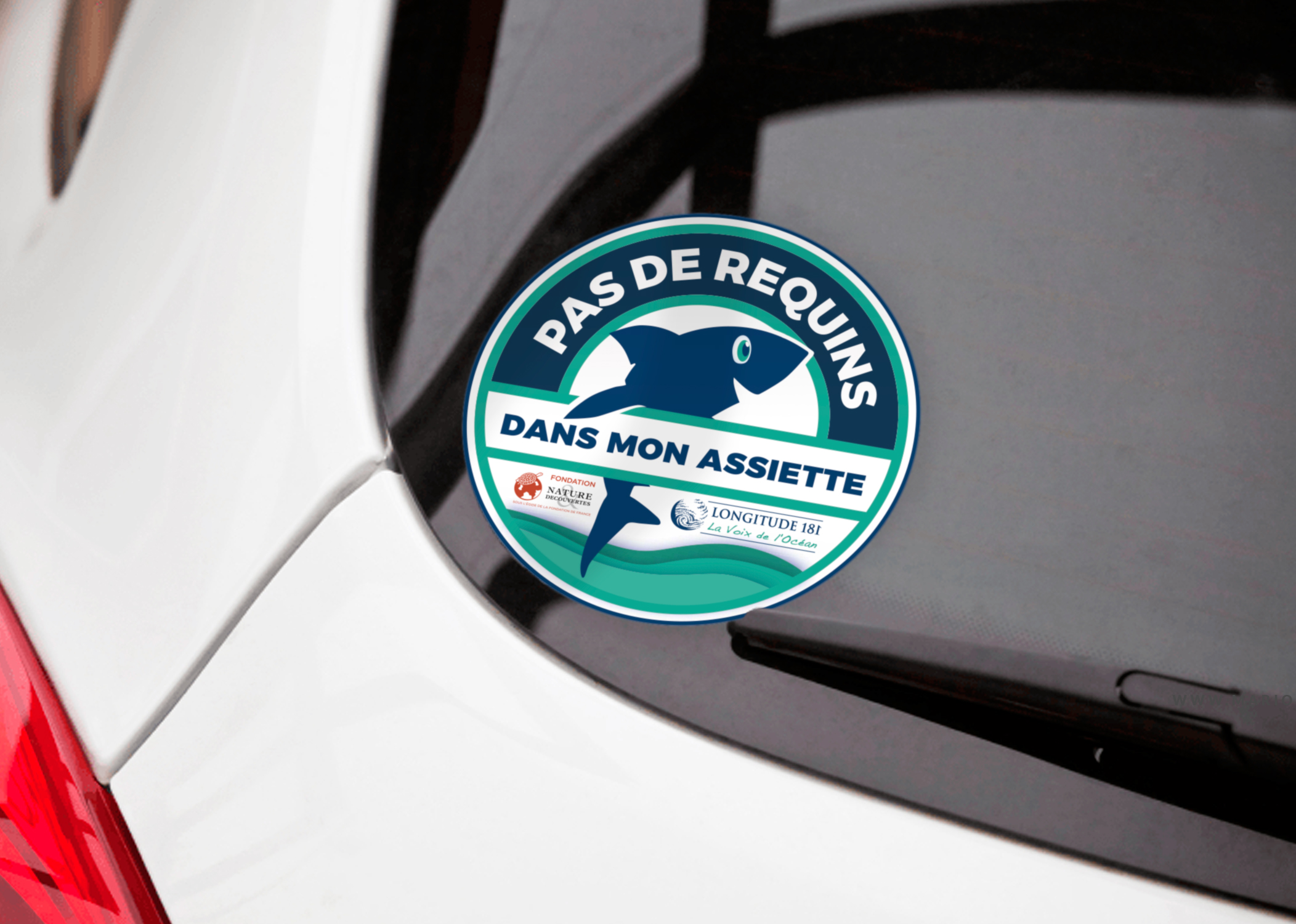 longitude_Stickers_campagne_requins