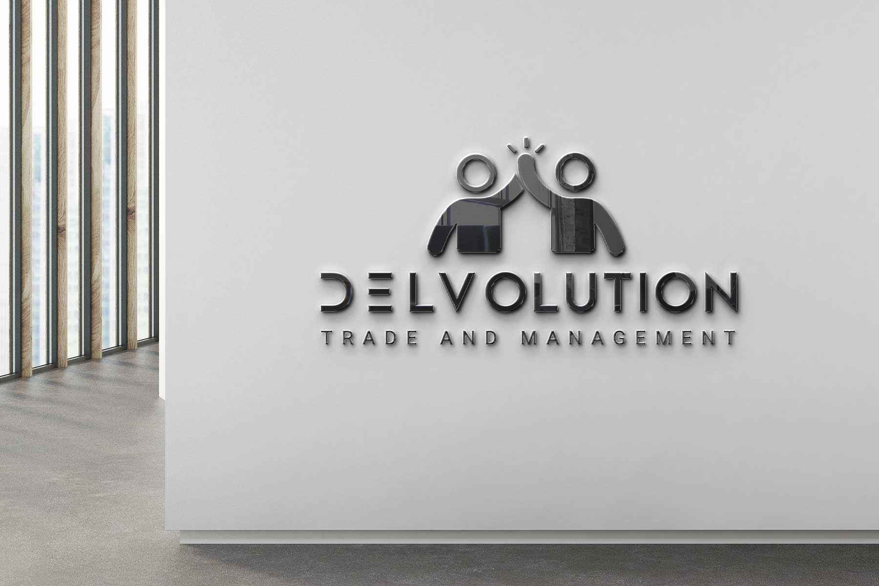 MESit_Delvolution_logo_marion_sarano_valence_graphiste_enseigne-2