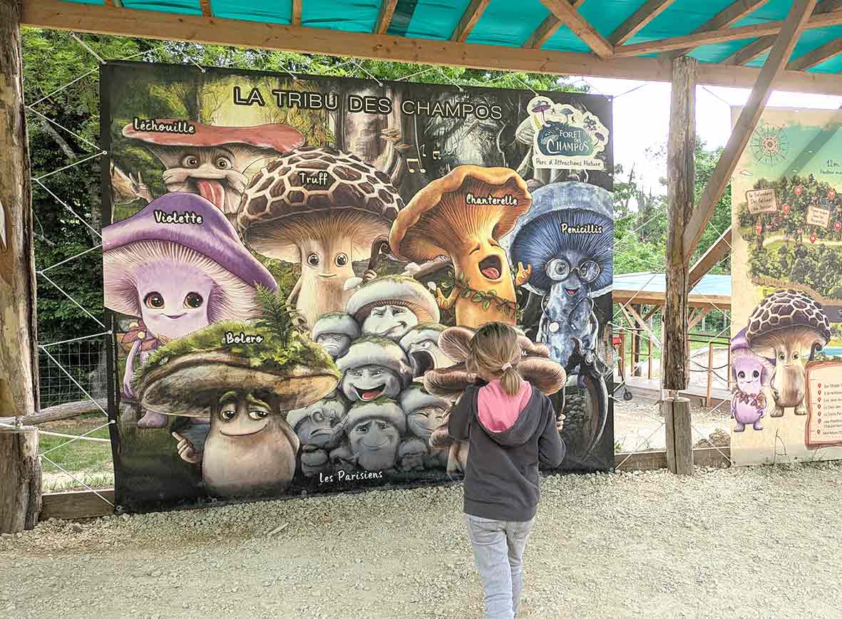 bache_mascotte_La_Foret_des_Champoscreation_illustratrice_marion_sarano_graphiste_drome_BD