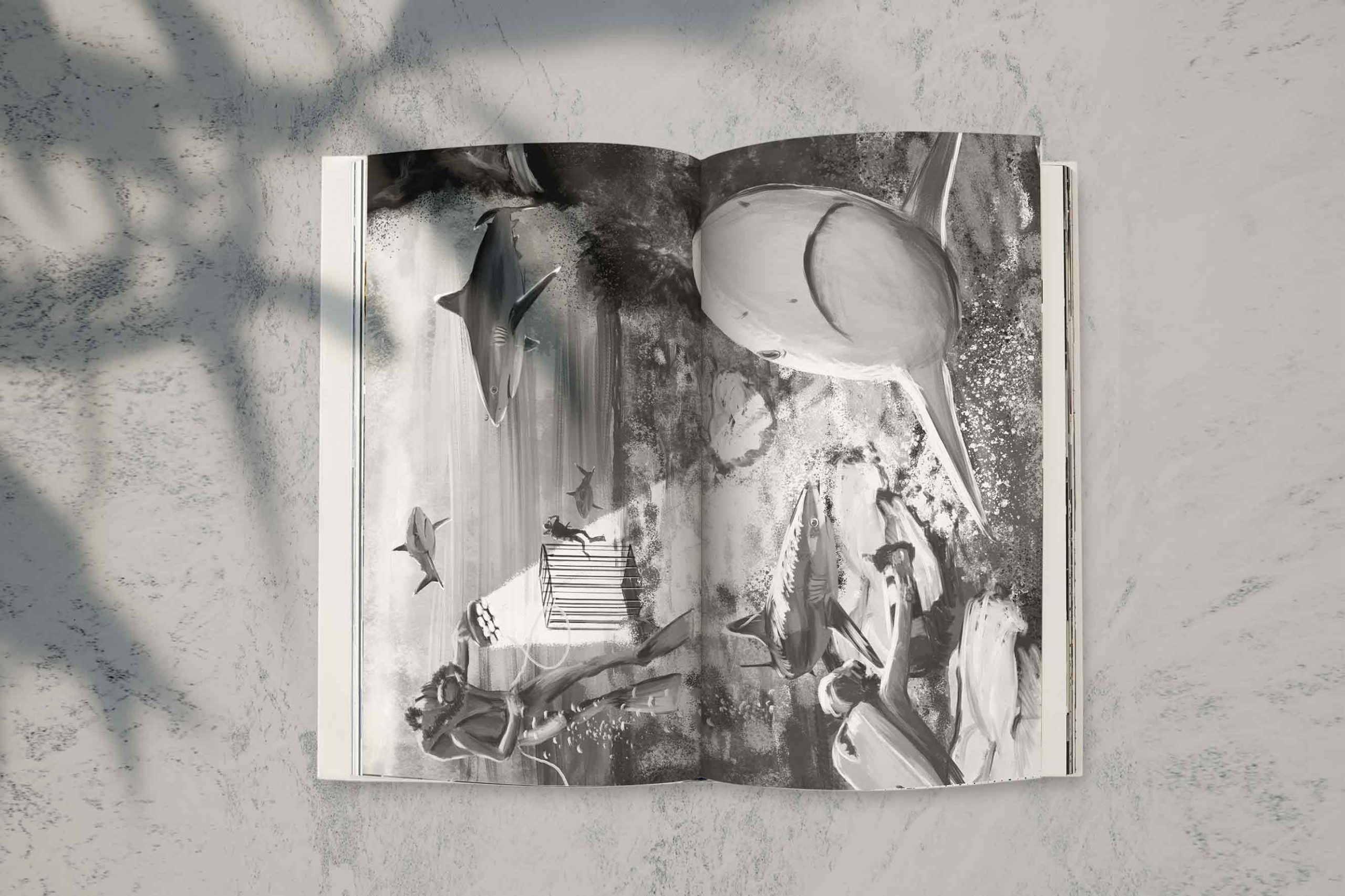 illustration_AU_mon_des_requins_livre_illus_livre_illustratrice_schemas_marion_sarano-4-BD