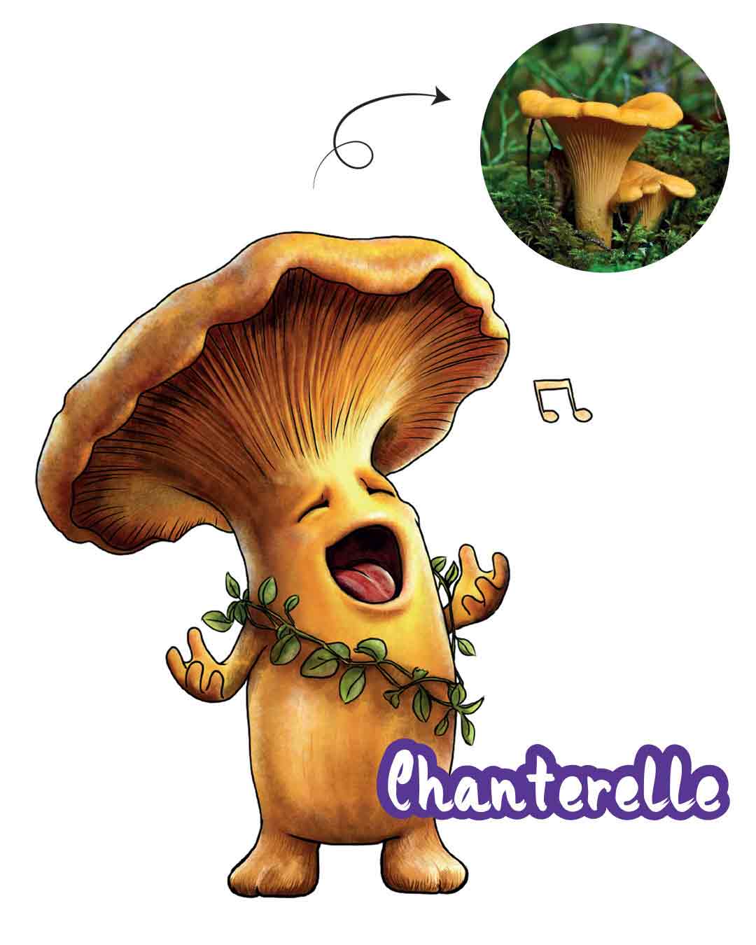 mascotte_chanterelle_La_Foret_des_Champos_drome_illustratrice_Marion_Sarano_graphiste_valence_planche_tendance-BD
